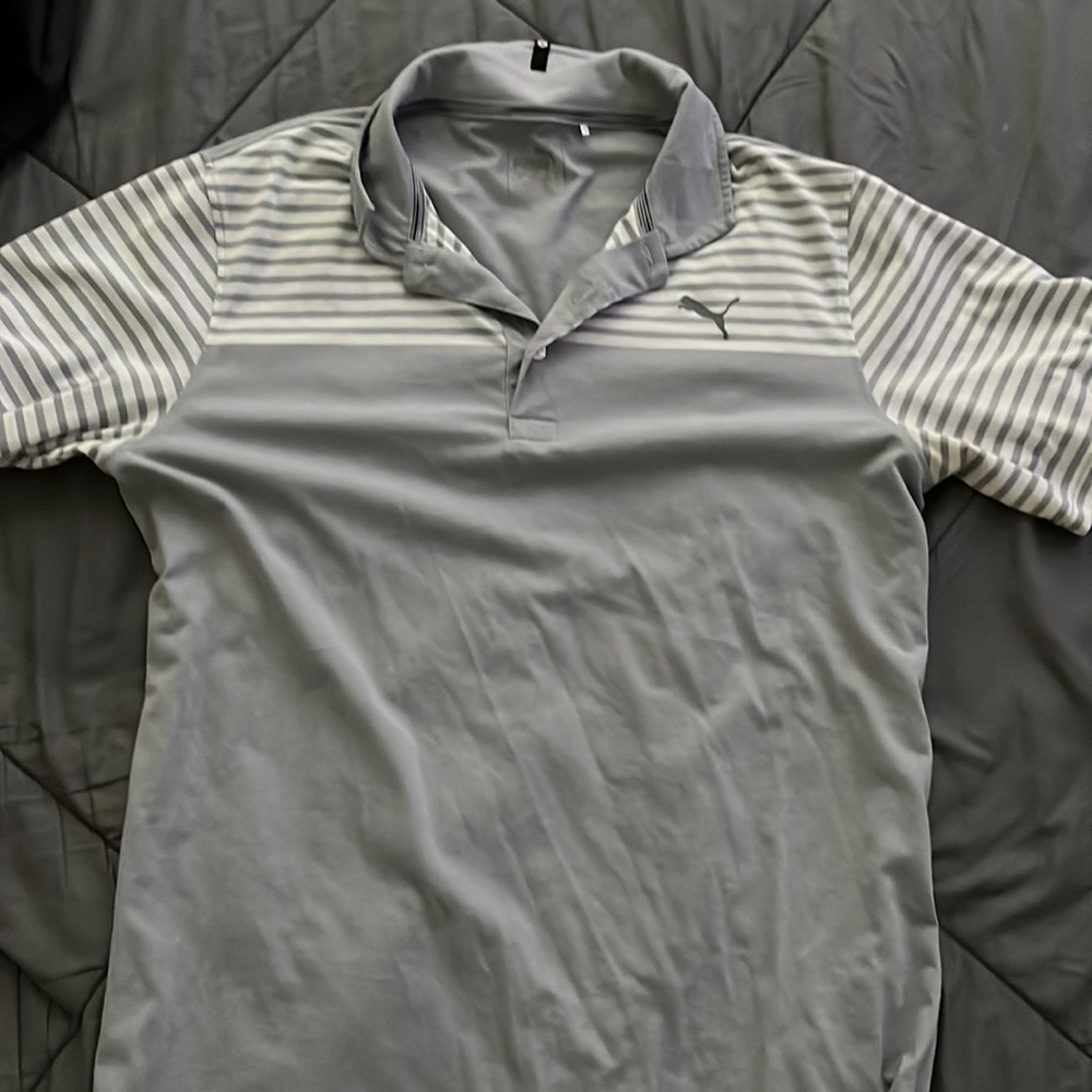 Puma polo